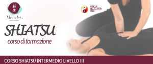 Third Level Shiatsu Course