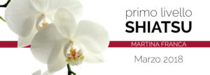 primo livello shiatsu martina franca