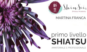 Corso Shiatsu Martina Franca