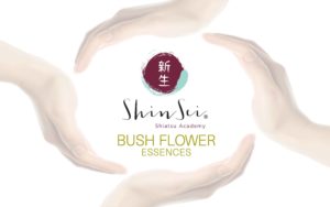 bush flowers shinseishiatsu