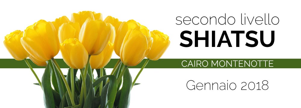 Cairo Montenotte | Corso Shiatsu II° Livello