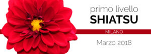 Corso base shiatsu milano