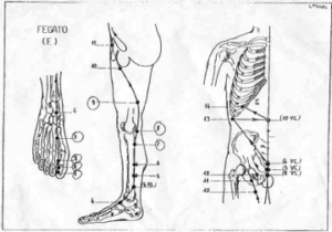 shiatsu e cellulite Shin Sei Shiatsu Genova