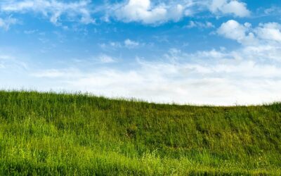 Rituale quotidiano: il respiro dell’asse che unisce Cielo e Terra